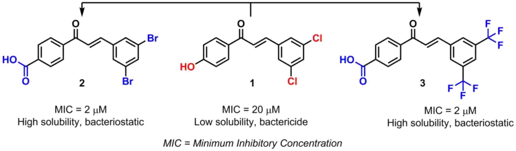 Example of bioisosterism in chalcones