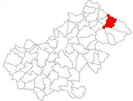 Location in Satu Mare County