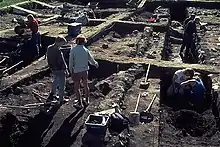 Colour photograph of excavations at Birka