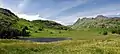 Blea Tarn and the surrounding meadows in July, with the Langdale Pikes in the background.