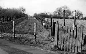 Photograph showing the site of the station