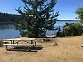 Picnic table and trees on Blind Island