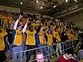 Blue Crew at a basketball game.