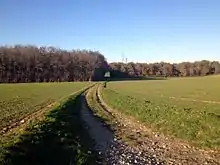 Vue du Bois de la Morte à Pizay en novembre 2013.