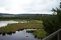 Chalupská slať peat bog in the Bohemian Forest