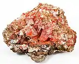 Bright, cherry-red gypsum crystals 2.5 cm in height colored by rich inclusions of the rare mineral botryogen