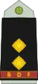 First lieutenant(Botswana Ground Force)