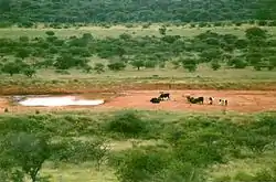 Waterhole in Serowe