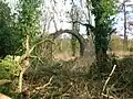 Ruins of estate outbuildings