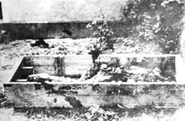 Achromatic photograph of a large box in a garden area, shown from an angle barely revealing a lump of indistinguishable mush inside.