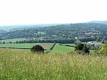 view of hills, trees and fields across a meadow