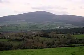 Cnoc Bhréanail, aka Brandon Hill, the highest elevation in Kilkenny