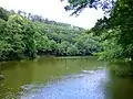 One of the ponds at the Vydrica in the Bratislava Forest Park