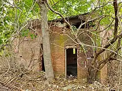 Exterior of Brayton Point battery house; the entire structure is hidden by overgrowth