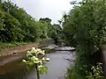 River Brent near Greenford.