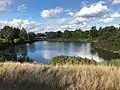 Lake in Brickfields Meadow