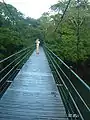 The bridge over the Puerto Viejo River in La Selva