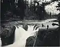 Brink of falls, Spring 1890 - Frank Jay Haynes