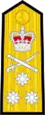 Shoulder board