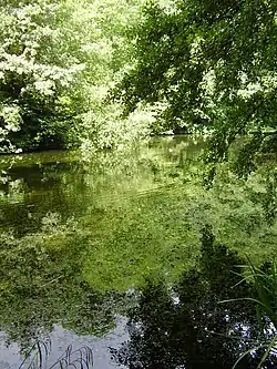 Image 6Credit: O1iveBrockhill Country Park is dominated by a large grassy valley, bisected by the Brockhill Stream as it makes its way to the Royal Military Canal at Hythe.

More about Brockhill Country Park...
 (from Portal:Kent/Selected pictures)