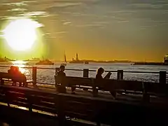 Statue of Liberty viewed from the park