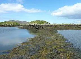 Broch at Bruernish