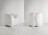 Bubble Chair