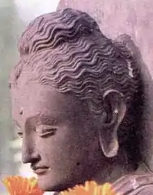 Head of the Buddha