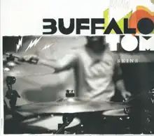 Cover of the album Skins by Buffalo Tom