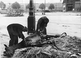 Scavenging a dead horse in front of Tempelhof Airport during the Battle for Berlin, May 1945