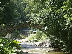 A bridge near Buynovo