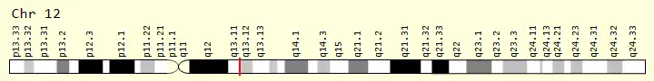 The genomic location for CCDC184 gene