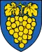 Coat of arms of Perroy