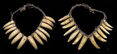 Necklace sperm whale teeth