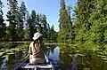 Canoeing the Tidan River near Lagerfors