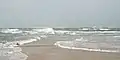 Confusing wave patterns at the beach at Cape Lookout point. Waves are coming from several directions.