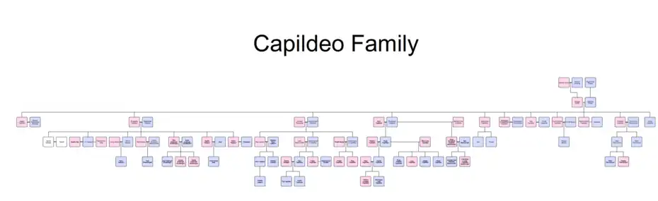 The genealogical tree of the Capildeo Family.