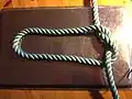 Step 1 of tying Cross constrictor knot: simple knot