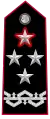 Shoulder insignia of a comandante generale of the Arma dei Carabinieri.