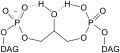 Cardiolipin bicyclic structure