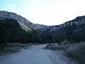 Carr Canyon in the Huachuca Mountains