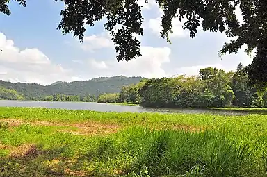 View of Loíza Lake