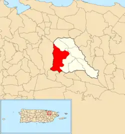 Location of Carraízo within the municipality of Trujillo Alto shown in red