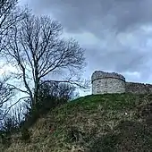 Castell Aberlleiniog - geograph.org.uk - 1141115.jpg