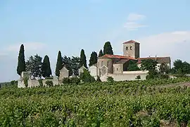 Saint Etienne Church surrounded by vineyards