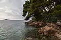 Shore at Cavtat