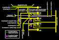 Schematic diagram of cervical plexus.