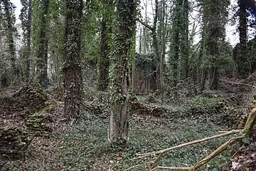 Ruins of the Château of Mariemont today