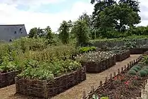 Vegetable garden