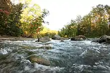 The Chagrin River as viewed from North Chagrin Reservation.